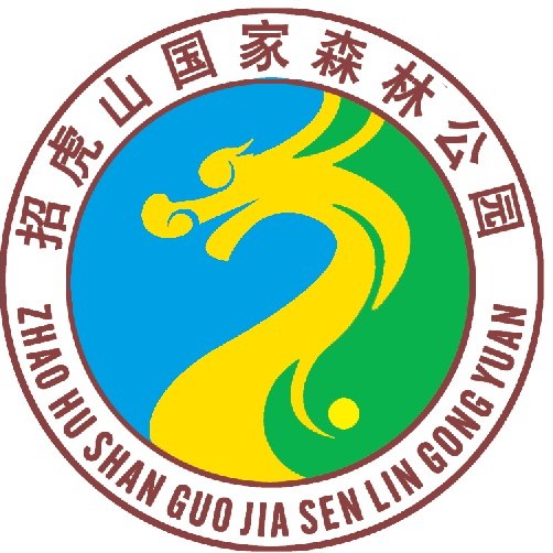 叢林穿越安全裝備——山東招虎山國(guó)家森林公園